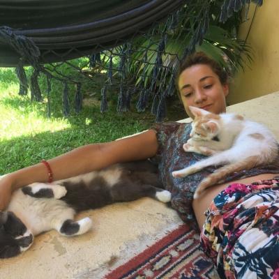 C64b6404 Fc80 484a 9687 3263df8c6672 Easy Resize.com